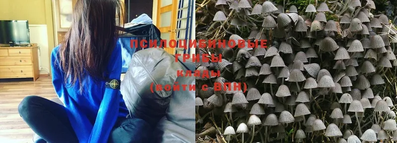 Галлюциногенные грибы MAGIC MUSHROOMS Борисоглебск